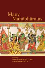 Cover Many Mahabharatas