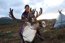 Amarsanaa rides a reindeer in East Taiga, Khuvsgul province, Mongolia, while visiting the Tsaatan in August 2018.