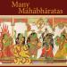 Cover Many Mahabharatas